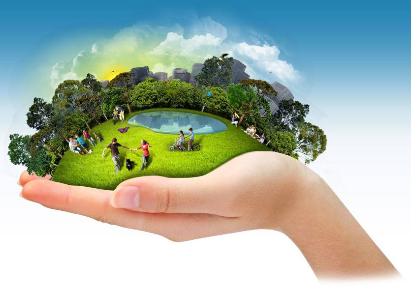 A responsabilidade socioambiental: compromisso da Master com a sociedade e o meio ambiente